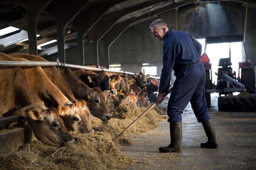 Surviving high North American feed prices Photo: Jan Willem Schouten