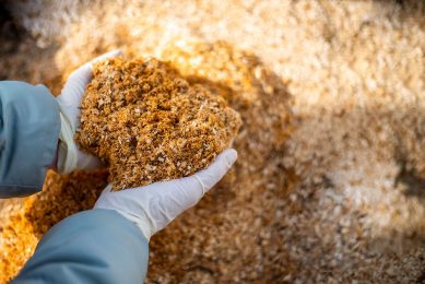 Wood residues in ruminant nutrition. Photo: Shutterstock