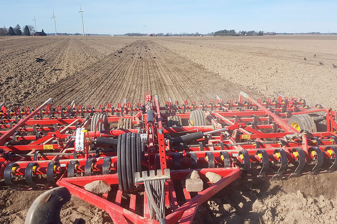 One pass spring harrowing for oats at the end of March 2021 with a 8m Vaderstad NZA and then using a Vaderstad Rapid 400C to seed the crop. Photo: Picasa