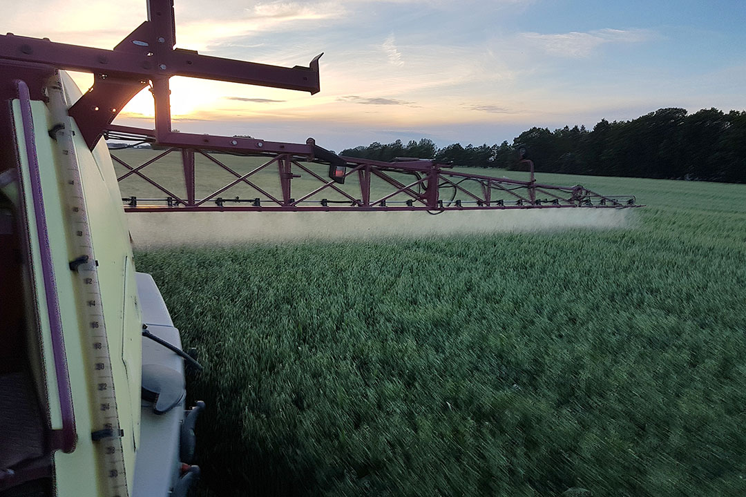 Applying fungicide on spring oats using a Hardi New Commander 3200 sprayer with 24m boom. Photo: Picasa