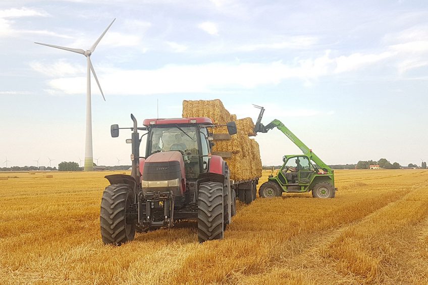 Loading straw with the Merlo telehandler. Erik said it was excellent quality this year dried in perfect weather. Picasa