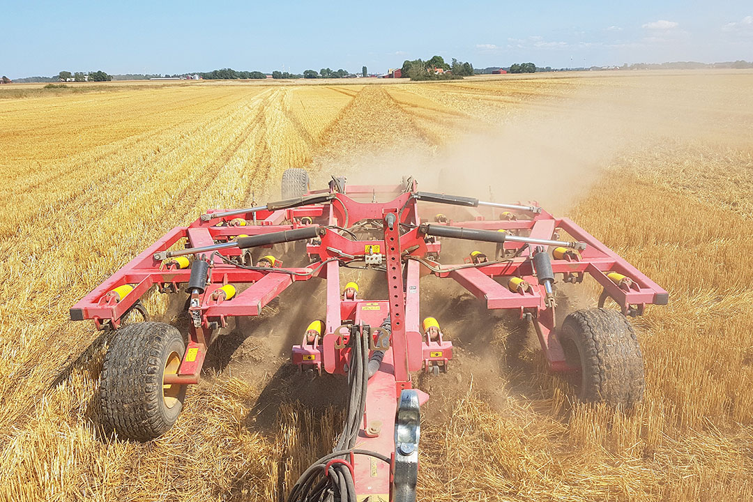 Seed bed preparation following the winter barley harvest using the Vaderstad Cultus 420. Photo: Picasa