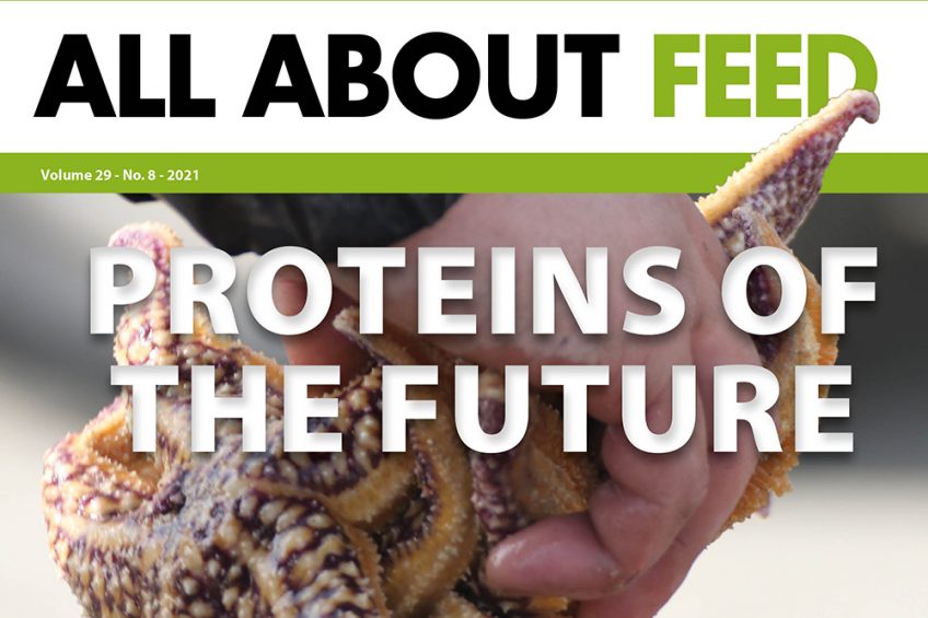 Introducing the 8th edition of All About Feed for 2021