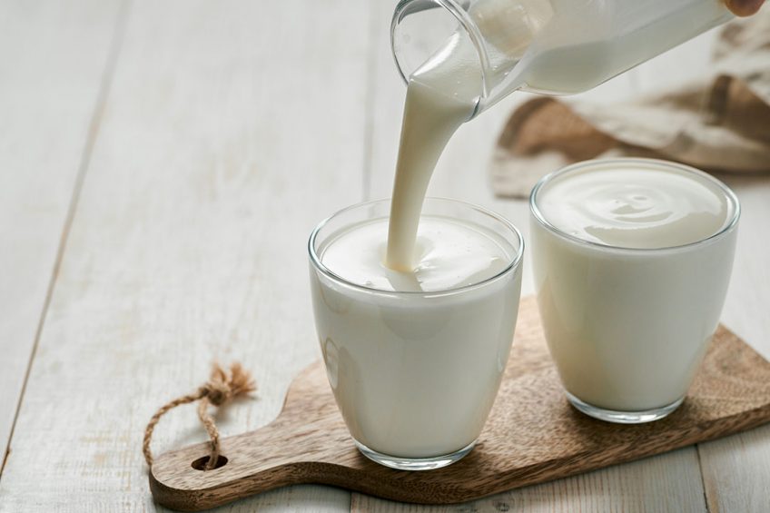 Kefir, a fermented milk product, poured in a glass for human consumption. It may also be a useful additive to diets for weaned piglets. Photo: Shutterstock