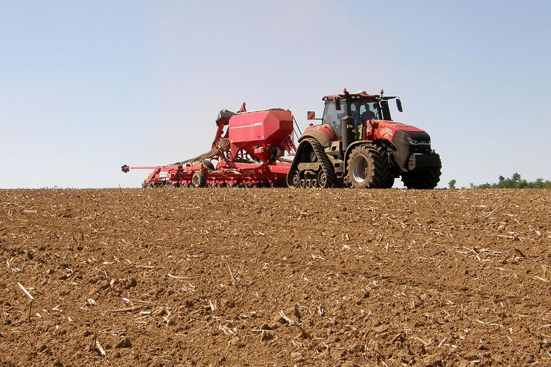 The main decision on when to seed should be taken after analysing soil samples from the desired field. Photo: Chris McCullough