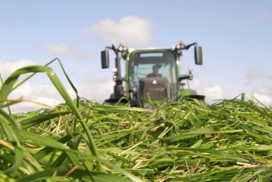 Establishing a new ley has the benefits of improving the grass yield, quality and disease resistance. Photo: Chris McCullough