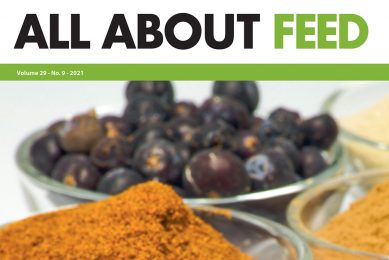 Introducing the 9th edition of All About Feed for 2021