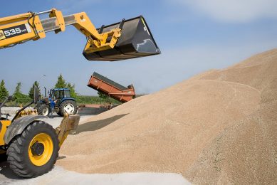 It is recommended that growers move grain as quickly as possible to avoid grain being stored at different moisture and humidity levels. Photo: Twan Wiermans