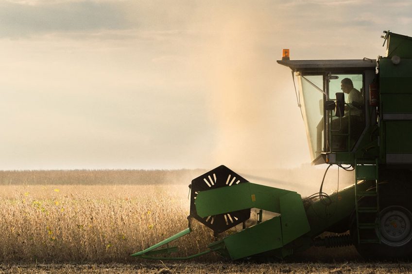 Since 2000, the harvested soybean area in Brazil has increased by 160%.