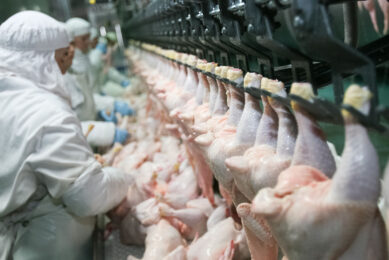 Russia's aim is to export 1 million tonnes of poultry annually by 2030. Photo: Shutterstock