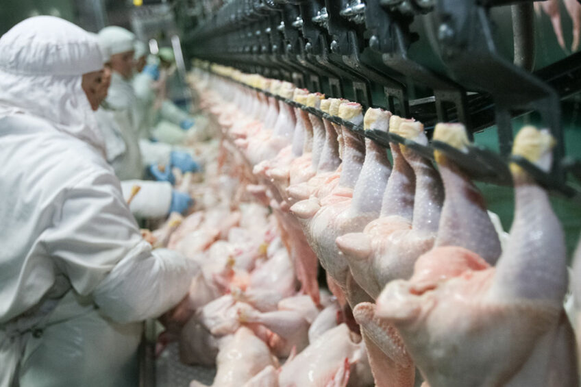 Russia's aim is to export 1 million tonnes of poultry annually by 2030. Photo: Shutterstock