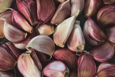Garlic is known to have antimicrobial, anti-coccidial, antifungal, antiviral, and antioxidative properties. Photo: Joe Green