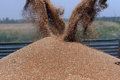 Ukraine plans no restrictions on soaring grain exports. Photo: Canva