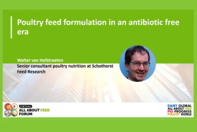 Video presentation: Antibiotic-free poultry feed formulation