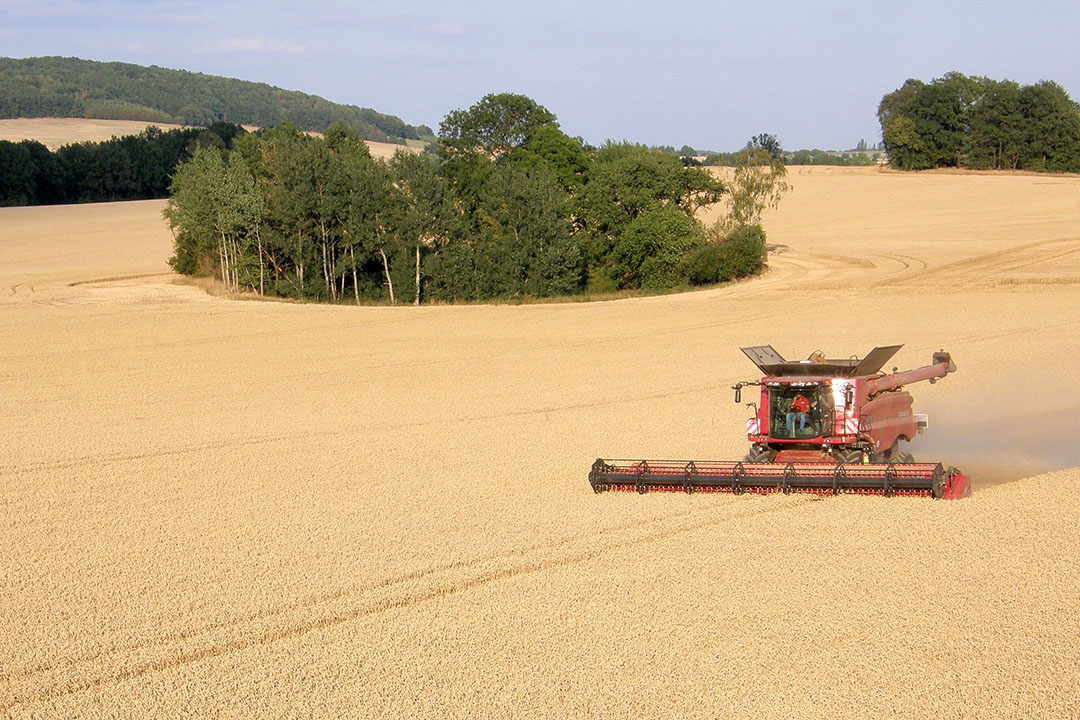 Ukraine is regarded as the bread basket of Europe. Photo: Chris McCullough