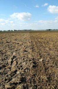 The soil in Ukraine is ideal for growing cereals. Photo: Chris McCullough