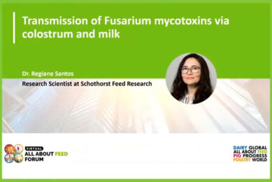 Video: Transmission of mycotoxins via colostrum and milk