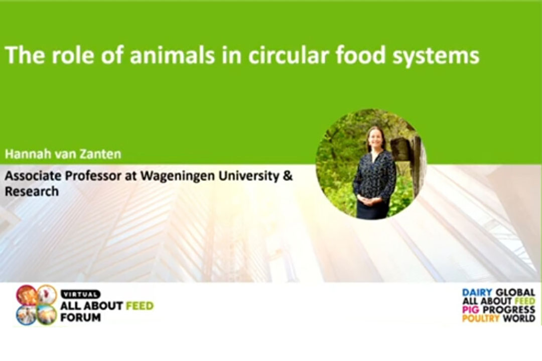 Video The role of animals in circular food systems Biology Diagrams