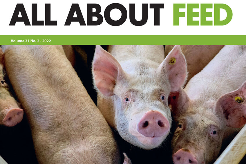 Introducing the 2nd edition of All About Feed for 2022