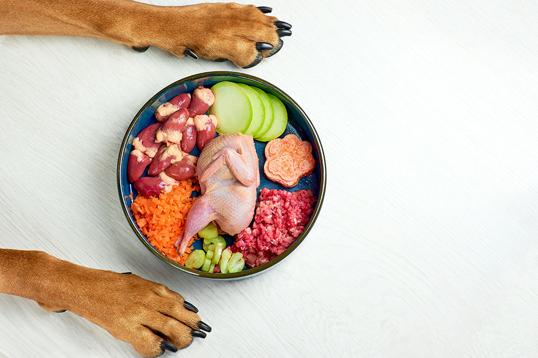 Shelf-life evaluation of ingredients in pet food