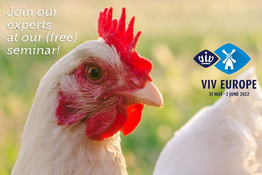 Poultry health and nutrition hybrid event at VIV Europe