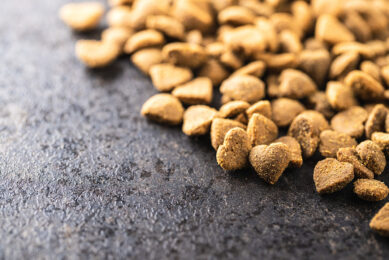 Dried kibble pet food. Heart shape dried animal food on an old table. Photo: Shutterstock