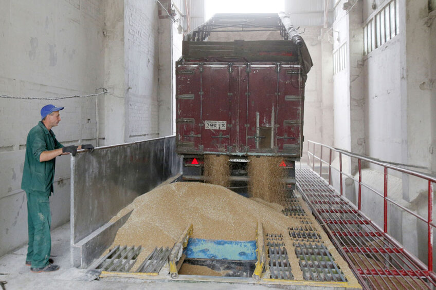 Ukraine grain arriving at a depot. Photo: FAO