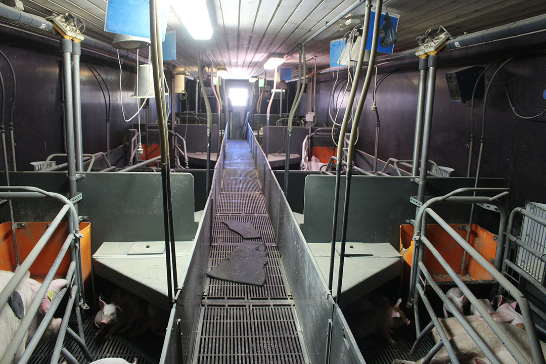 A quick look inside the containers for lactation purposes.