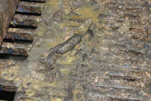 Not using zinc oxide in weaner feed leads to much darker faeces. As the picture shows, diarrhoea did occur as well.