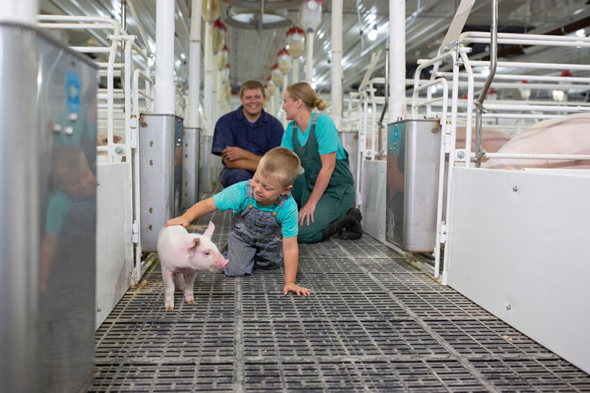Effective and economic early-life nutritional strategies are critical to alleviate the depressed growth and health status of newly-weaned pigs. Photo: Alltech