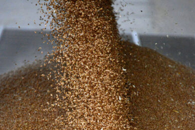 First cargo ship of maize from Ukraine unloaded