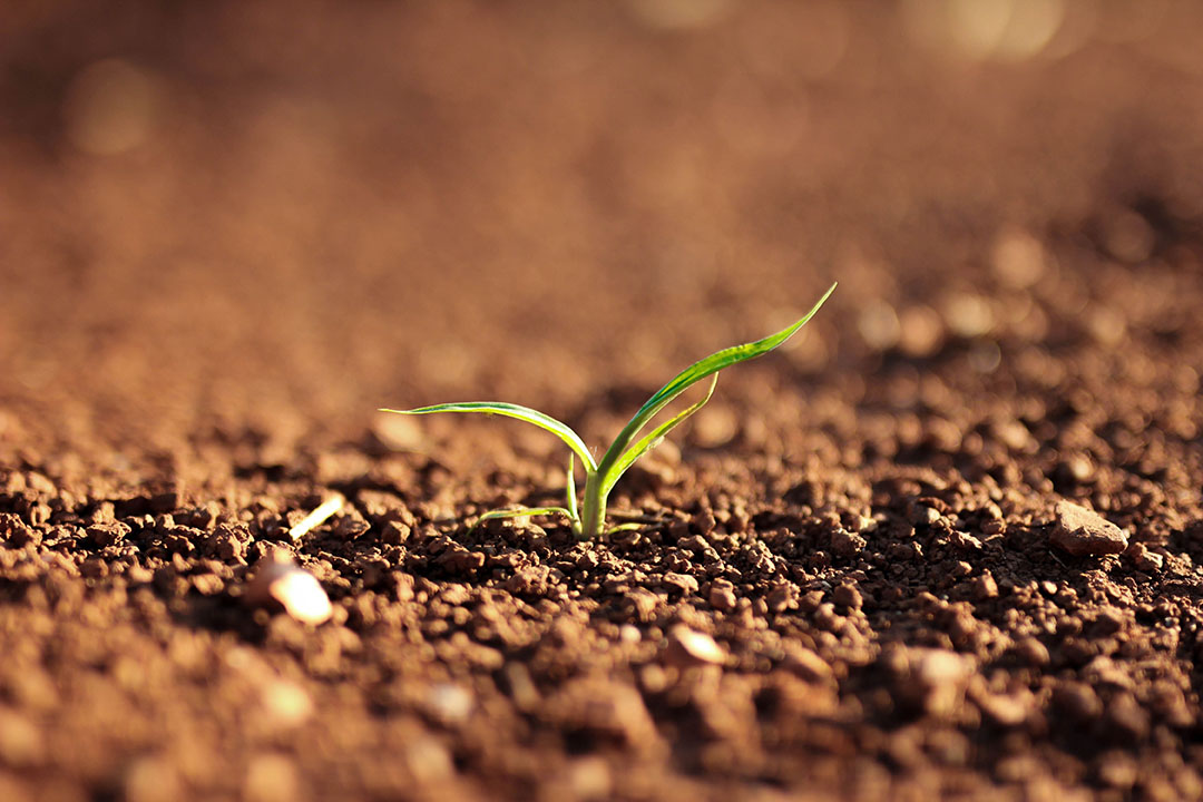 Calls for a change in the way soil health is measured - All About Feed