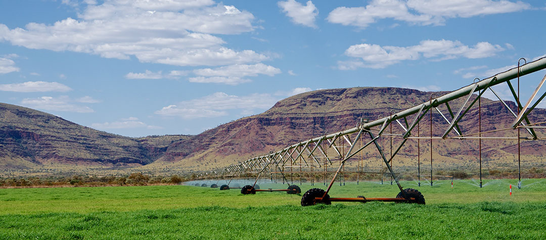 The changes in irrigation and feeding have already had a positive effect on the farm in terms of production per cow. Photo: Will Russell