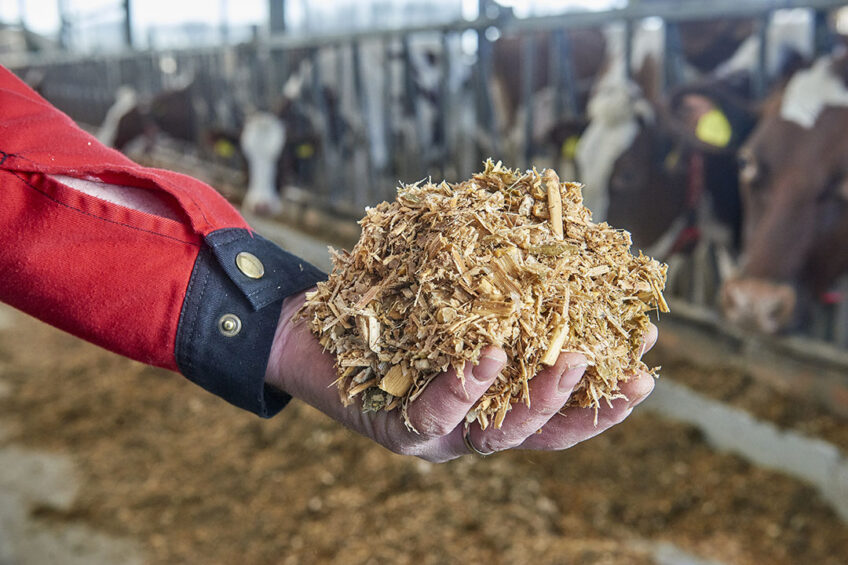 Mycotoxins are harmful to animals and can greatly affect their health and productivity. Photo: Van Assendelft