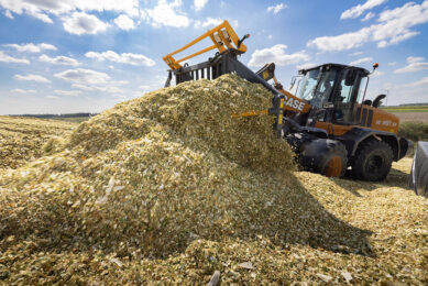 Preventing the occurrence of mycotoxins in silage starts in the field. Photo: Peter Roek