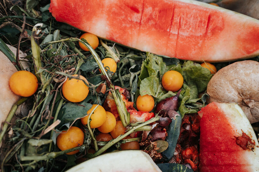 It is estimated that nearly 16 million tons of food waste is generated in Russia on average per year. Photo: Canva