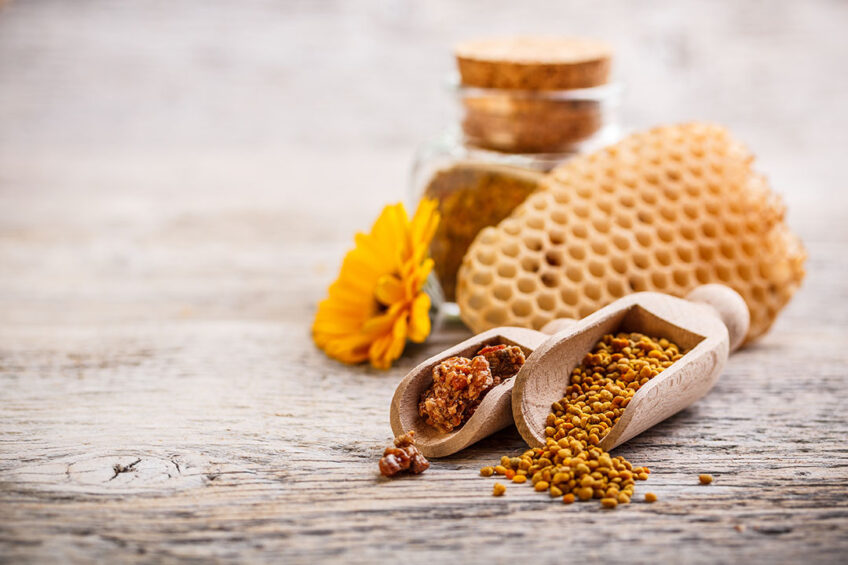 Supplementation of propolis and bee pollen is recommended in broiler diets for their positive impact on the performance and health of broilers. Photo: Shutterstock