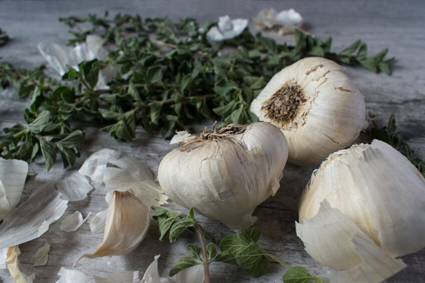 Anticoccidial effects of oregano and garlic
