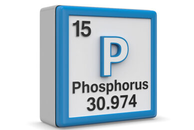 Phosphorus is a lynchpin within the global food system – plants cannot grow without it and it has no substitute. Photo: Canva