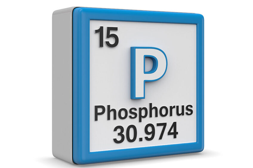 Phosphorus is a lynchpin within the global food system – plants cannot grow without it and it has no substitute. Photo: Canva