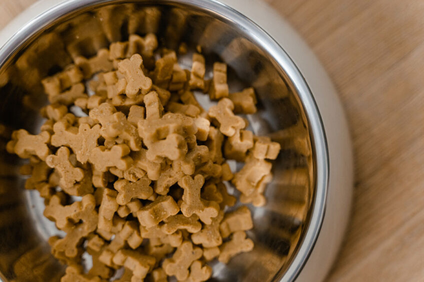 Corn in pet food provides energy, fibre, protein, and fatty acids to the diet. Photo: Canva