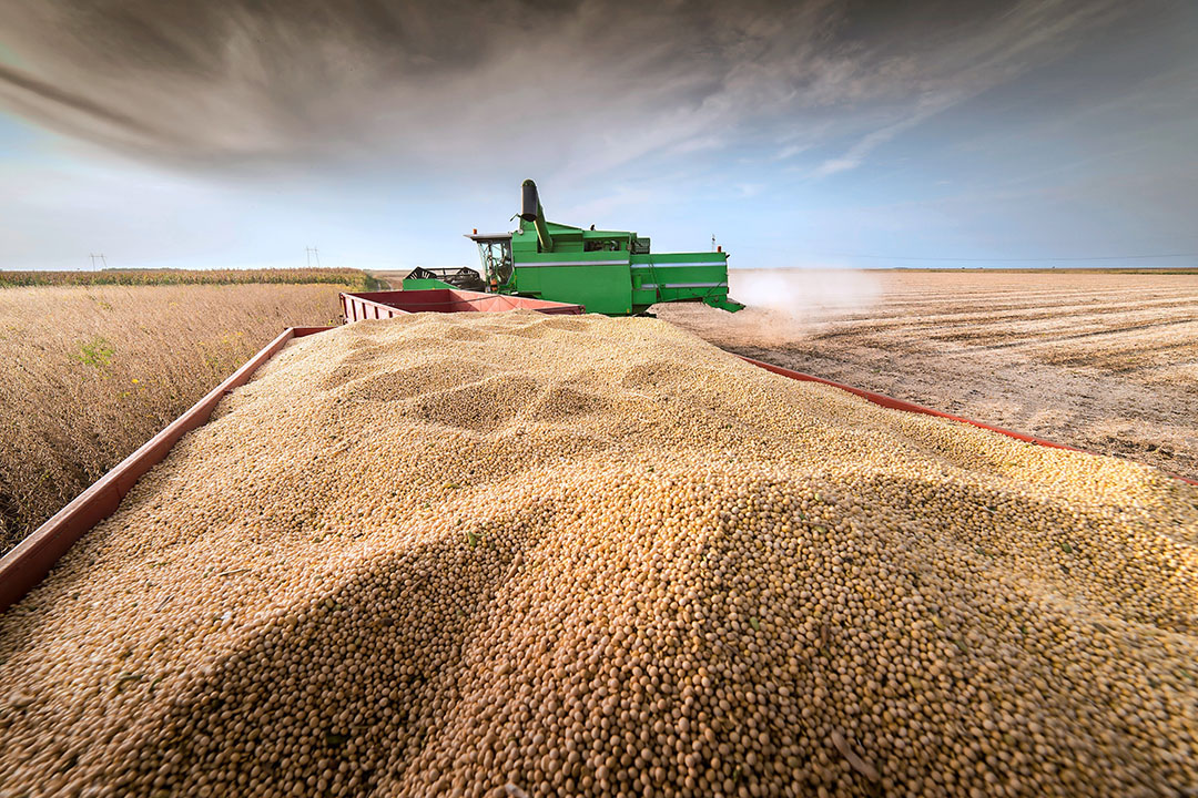 Asbjørn Børsting, FEFAC president: “Nutritionally improved crops may allow the formulation of better-balanced feed.” Photo: Canva