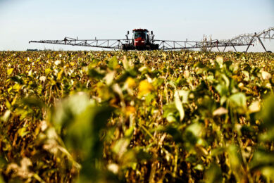 Rain in Brazil puts pressure on soybean prices
