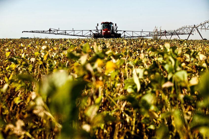 Rain in Brazil puts pressure on soybean prices