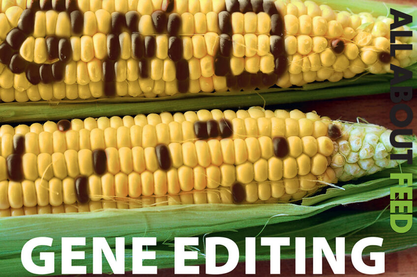 Gene editing in the latest edition of All About Feed