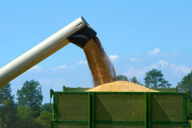 The UN said in a statement on March 13 that it will do "everything possible to preserve the integrity of the Black Sea Grain Initiative and ensure its continuity." Photo: Canva