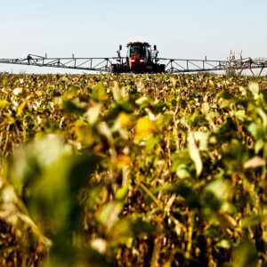According to the USDA, the Brazilian harvest for the 2022-23 season will be 153 million tons. Photo: Canva