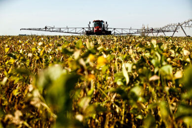 According to the USDA, the Brazilian harvest for the 2022-23 season will be 153 million tons. Photo: Canva