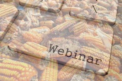 Coming soon: Mycotoxins Webinar