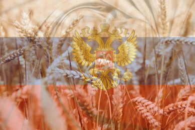 Russian grain is not directly subjected to Western sanctions, but during the past year, the supplies were hampered by restrictions against the Russian logistics and banking sectors. Photo: Canva